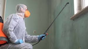 Best Mold Damage Restoration  in Morganville, NJ