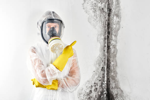 Best Comprehensive Air Testing for Mold Contaminants  in Morganville, NJ