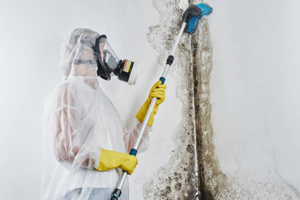 Mold Removal for HVAC Installations in Morganville, NJ