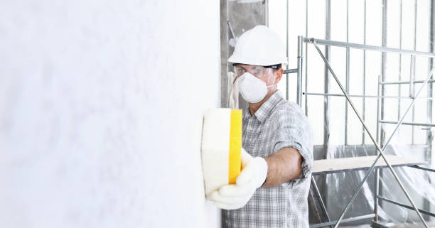 Best Environmental Consulting for Mold Prevention  in Morganville, NJ