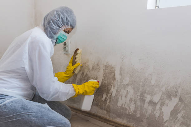 Best Residential Mold Inspection & Testing  in Morganville, NJ